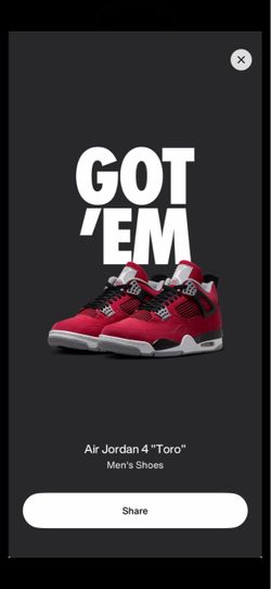Jordan 4 Toro Bravo