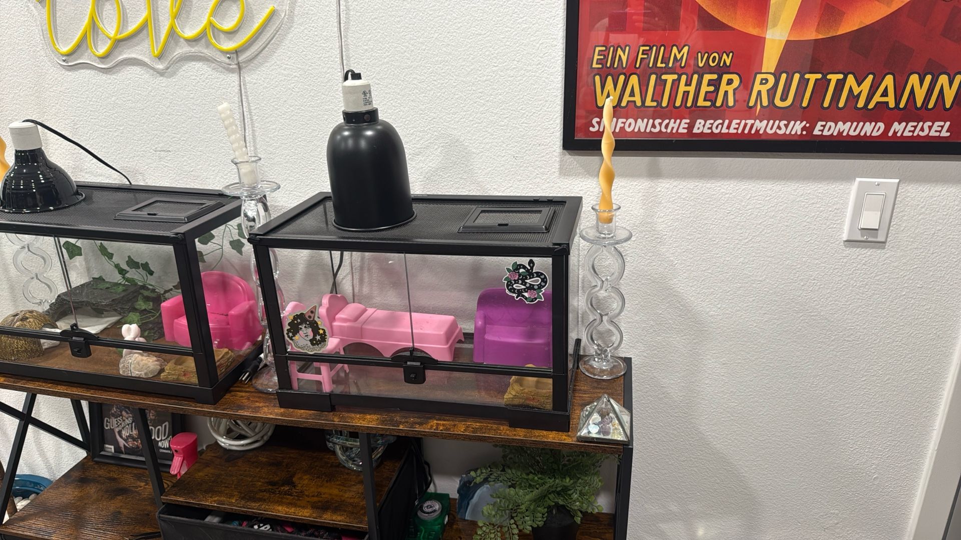 Tank, Bowl, Hides, Lights