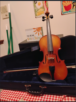 Carlo Robeli Prima Violin Outfit – Unused, 3CD+DVD Set