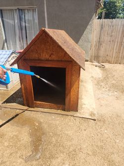 Dog House