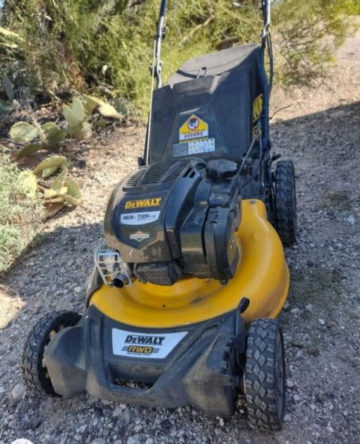 DeWalt Gas Lawn Mower (21 Inch, 163cc Briggs and Stratton Engine, 725exi)
