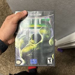 Hulk GAMECUBE
