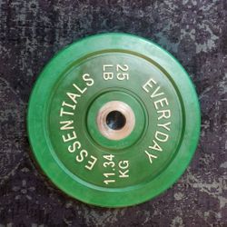 25 lb weight plate gym exercise