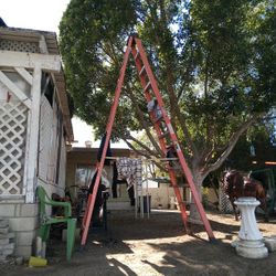 Werner Professional A Frame Ladder