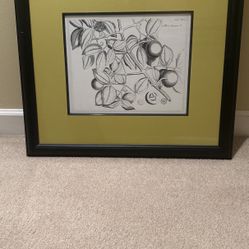 Bassett Wall Art 26x 23