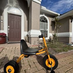 LakeSchore School Trike 