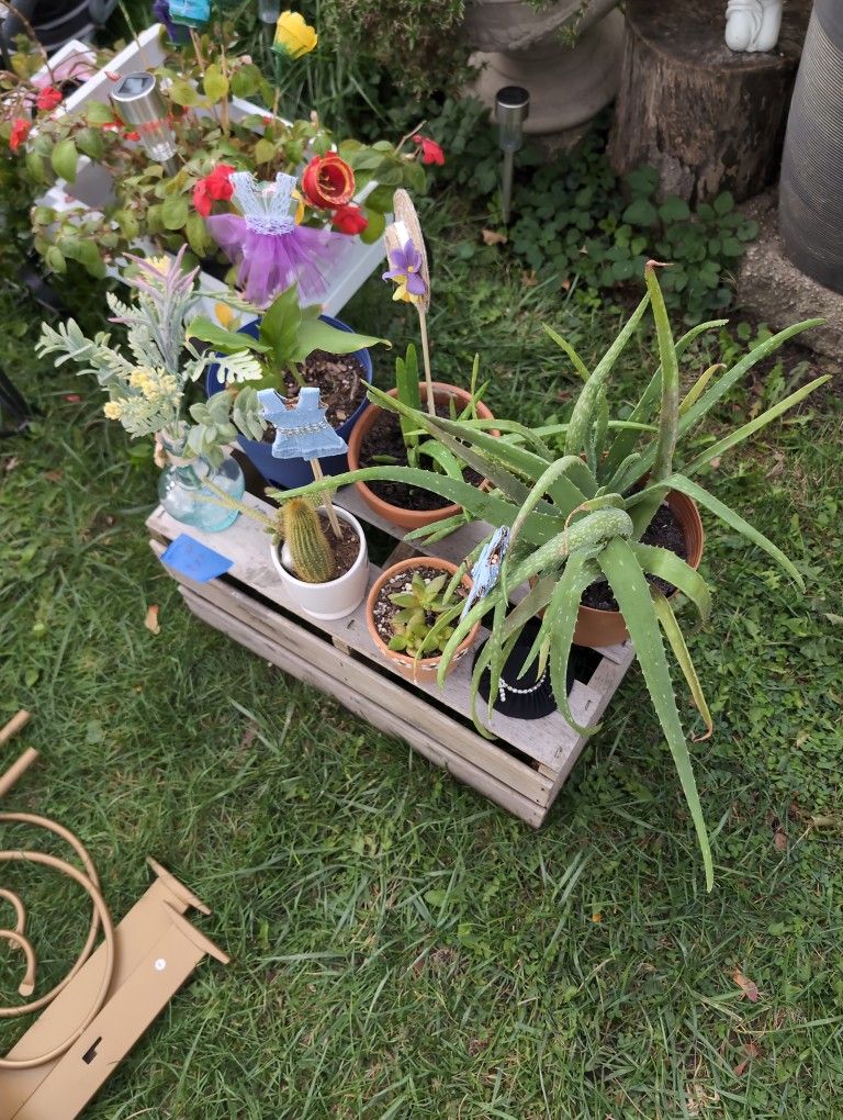 Garage Sale 25-27 Everything Must Go 230 Rose St 