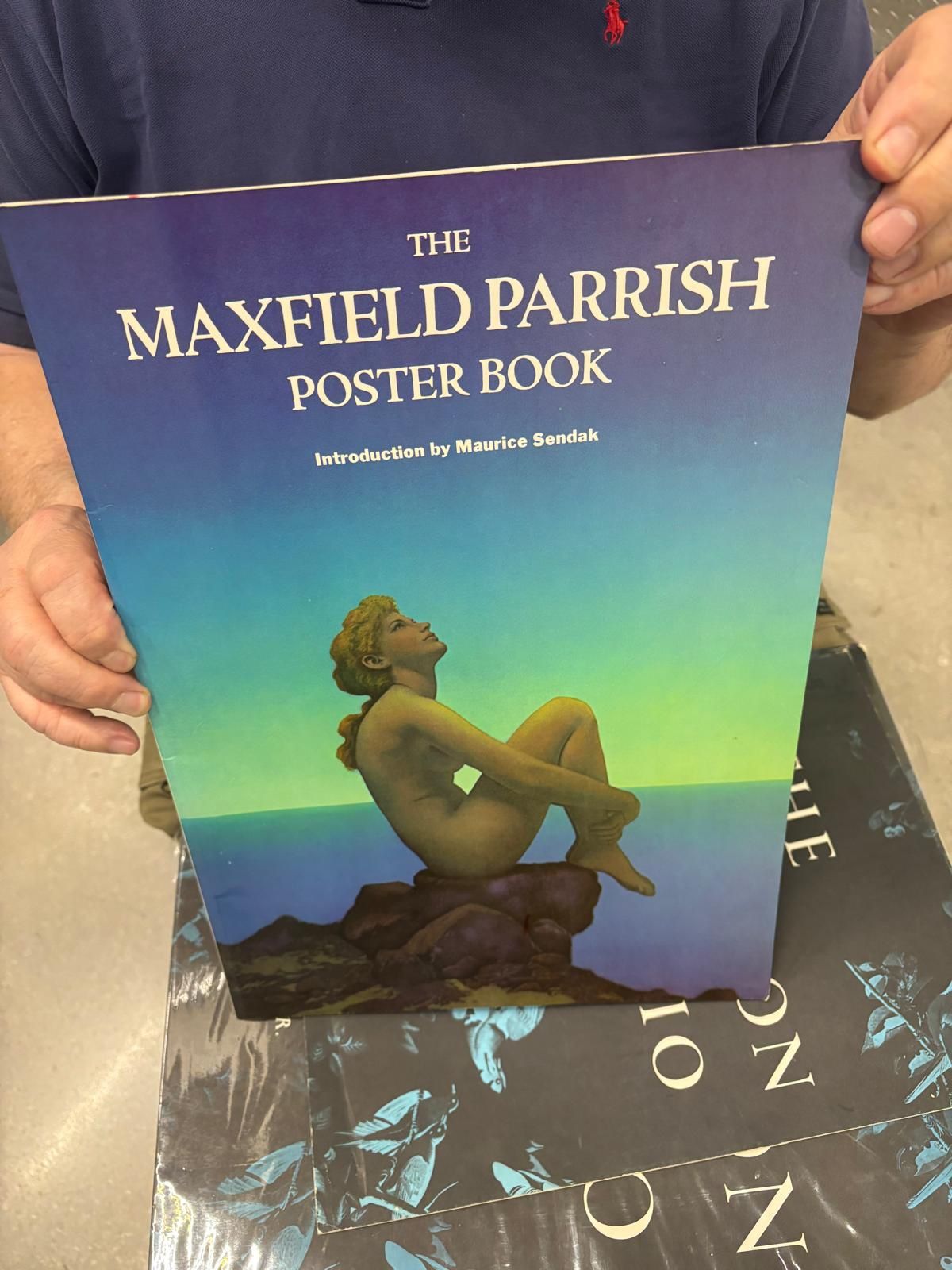 $50 Maxfield Parish poster book