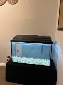 Fish tank