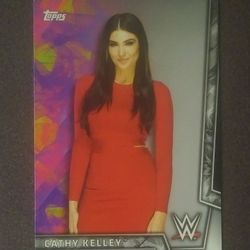 2018 Topps WWE Cathy Kelley #8 Womens Division Announcer Card Wrestle World Wrestling Sports Collectible