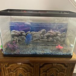 25 gallon Fish Tank