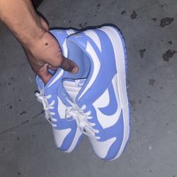 Nike Dunk Polar Blue 