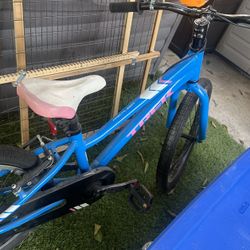 Trek Kid’s Bike