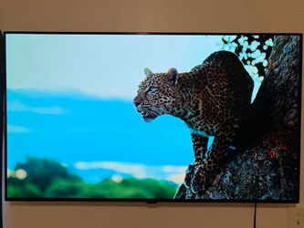 LG 48 inch OLED TV