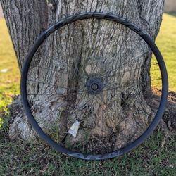 Race Face AR30 DT Swiss 370