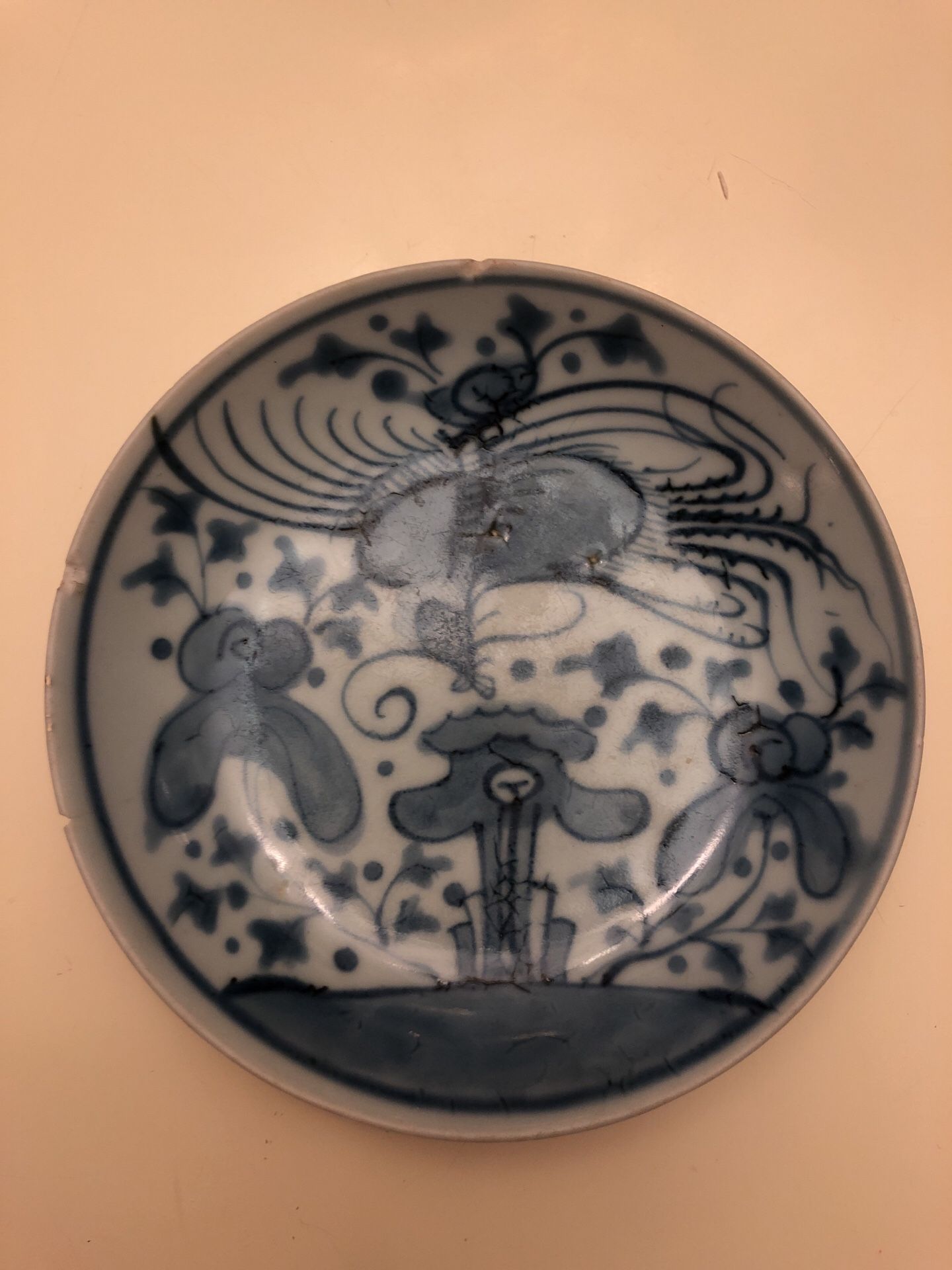 Antique Chinese Ming Dynasty Porcelain Dish
