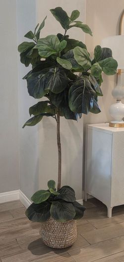 5 Ft. Artificial Tree. Used, in great condition. 

$50 

Must pick up near Old River and Panama Lane 93311