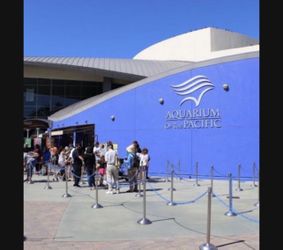 Aquarium Of The Pacific 