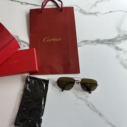 Vintage Cartier Polorized Sunglasses Xl