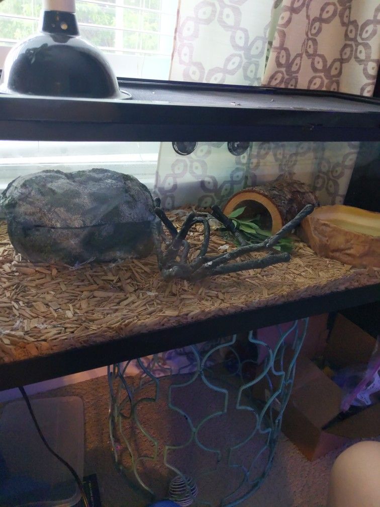 A Reptile Cage