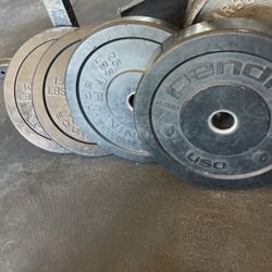 Bumper Plate Set