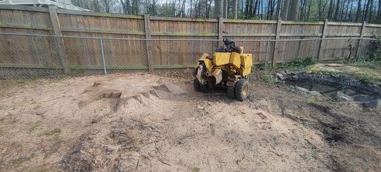 Stump Grinding 