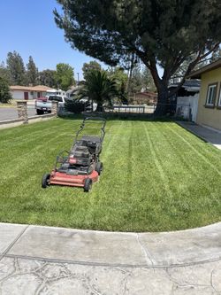 Jardinero
