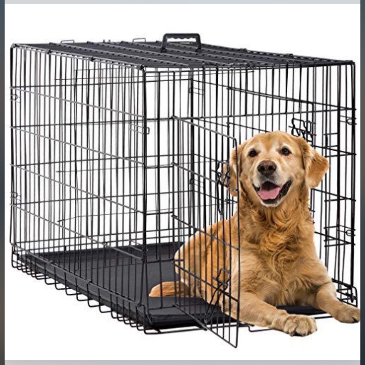 Dog Kennel