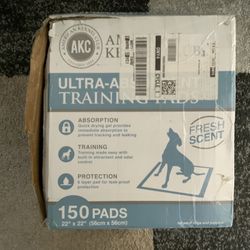 Ultra Absorbent Training Pads