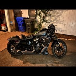 2017 Harley Davidson Iron 883