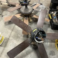 Ceiling Fans 