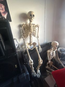 Skeletons