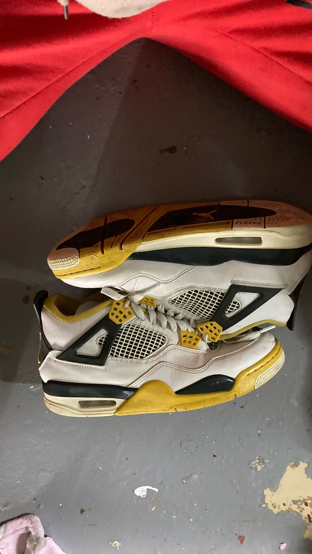 Air Jordan 4s