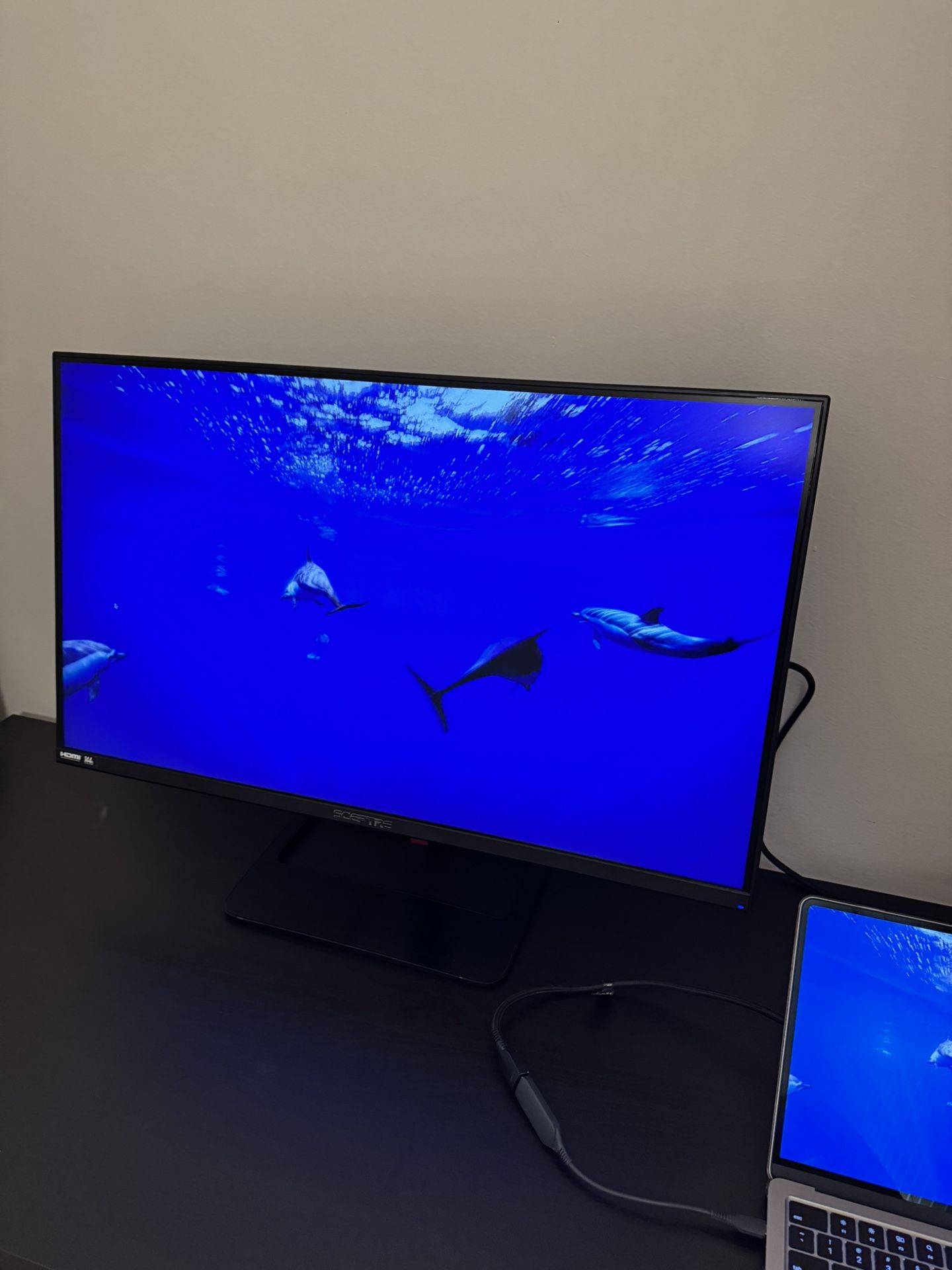 Monitor Sceptre 32”