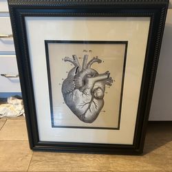 Anatomical heart print