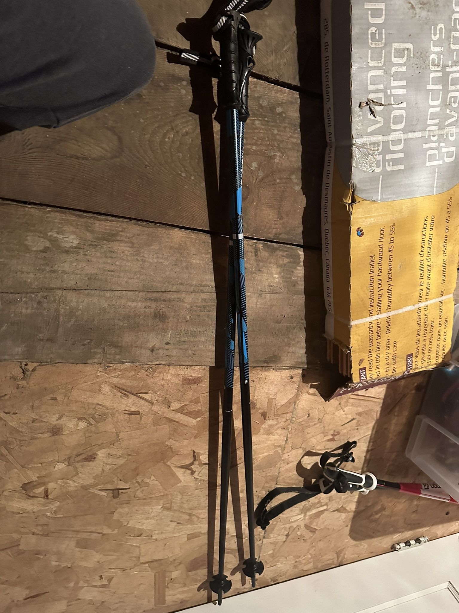 Ski Poles