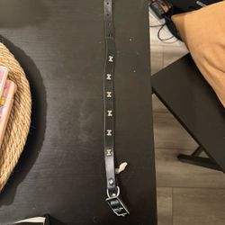 Dog Collar