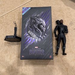 *RARE* Collectors Item Black Panther/Chadwick Boseman  1/6th Scale Action Figure!