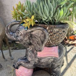 Elephant Statue with Succulent Plant 