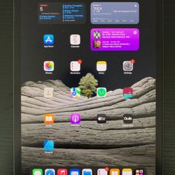 256GB iPad Pro 11inch (2nd Gen) Space Grey With Extras!!!