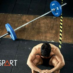 Olympic Rubber Bumper Plates 