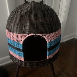 Cat House 