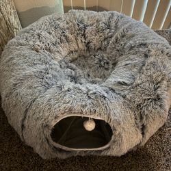 Cat Tunnel