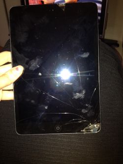 iPad mini