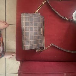 Steve Madden Purse 