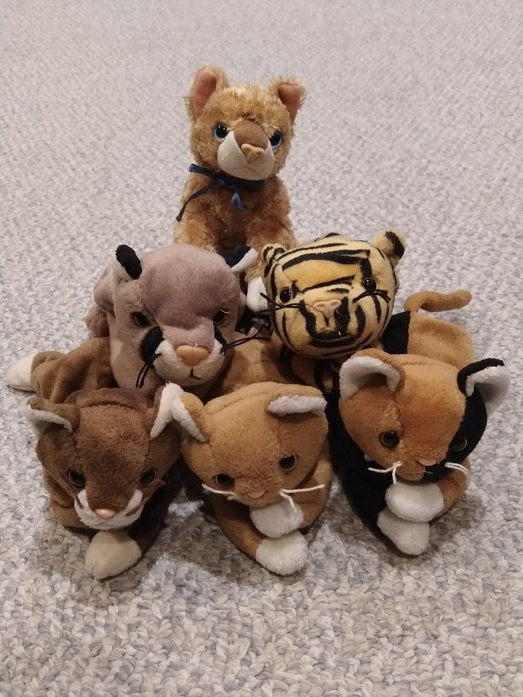 6 Cat Beanie Babies (Canyon, Mattie, Chip, Pounce, Stripes, Nip)