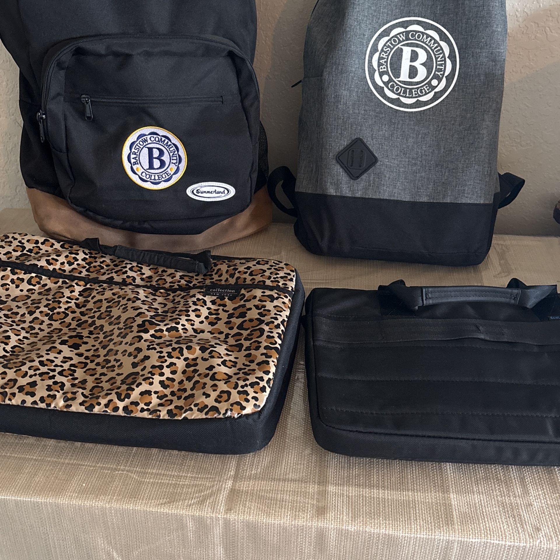 2 Laptop Cases 2 Backpack