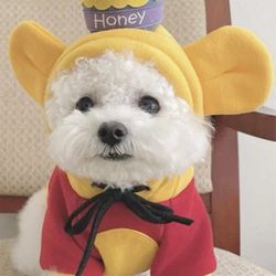 Pet Costume 