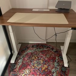 Branch Adjustable Standing Desk
