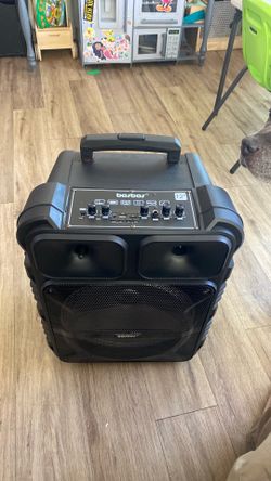 Bosbos 12” Panda karaoke speaker with Microphone